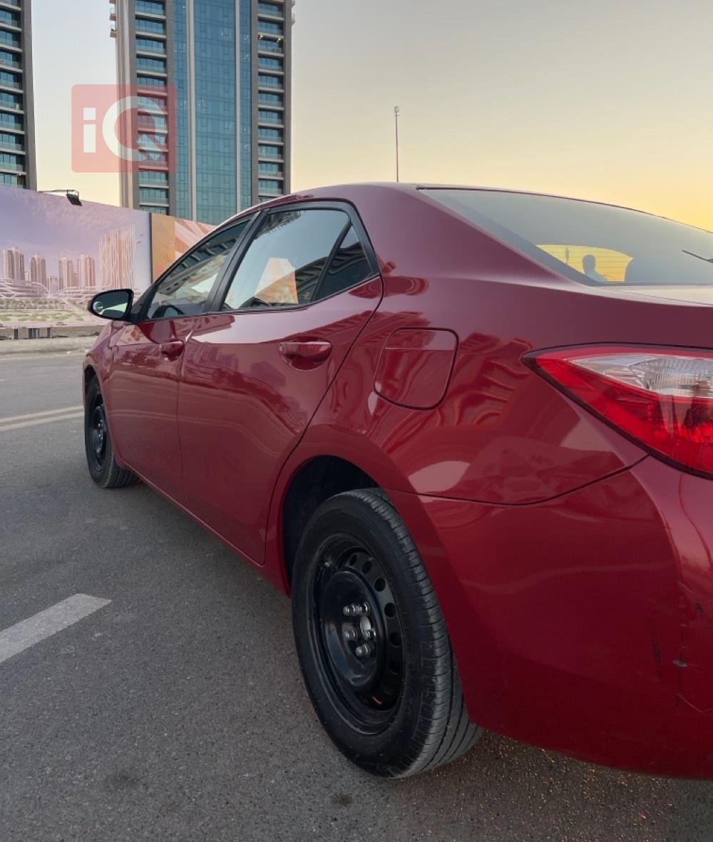 تويوتا كورولا